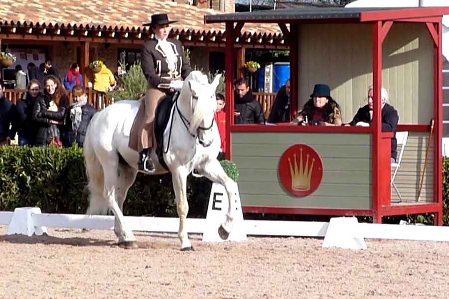 Le cheval Andalou Ultra