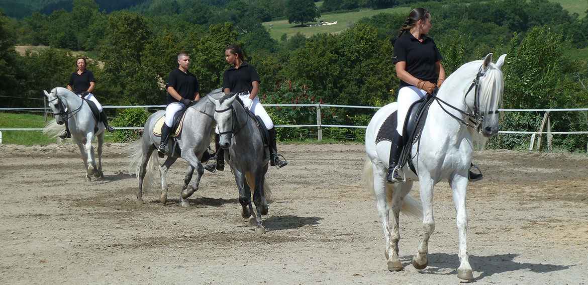 BON CADEAU COURS DE DRESSAGE