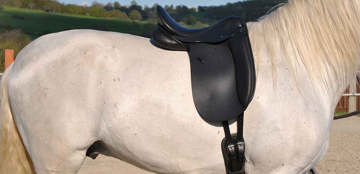 Selle de dressage CLASSIKDRESS